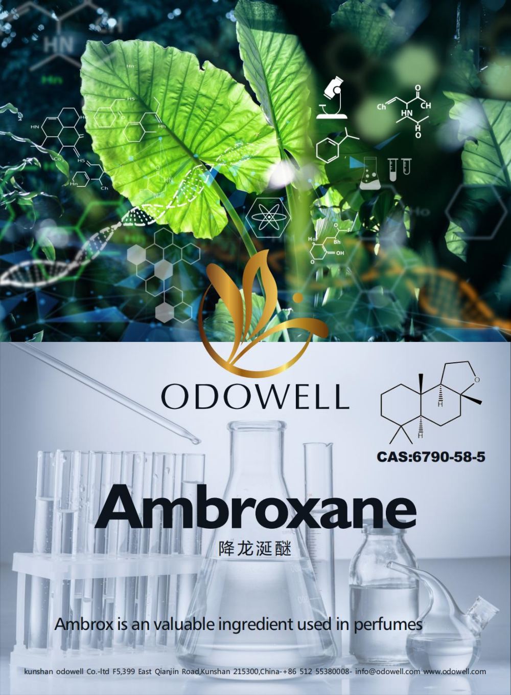 Odowell az Ambroxane (Ambrox) sikeres évét ünnepli