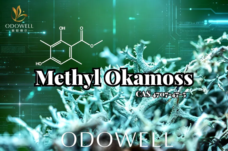 Az ODOWELL bemutatja a Methyl Okamoss: autentikus szintetikus tölgymohát Chypre és Fougère Mastery számára