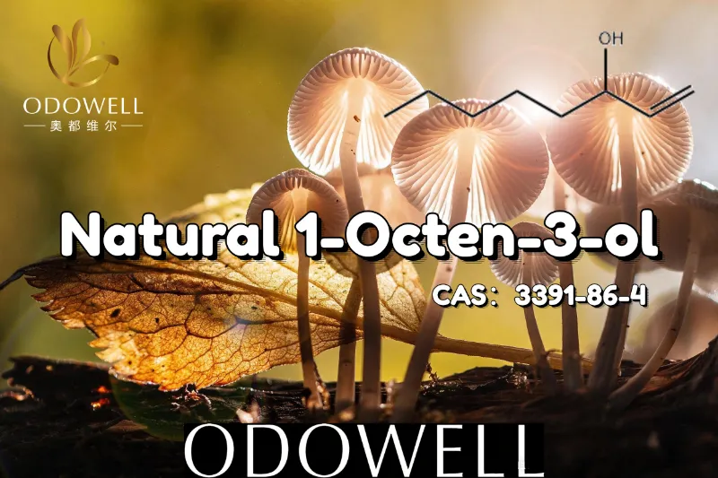 Az ODOWELL a Natural 1-Octen-3-olt ajánlja gombaszerű és földes ízű alkalmazásokhoz