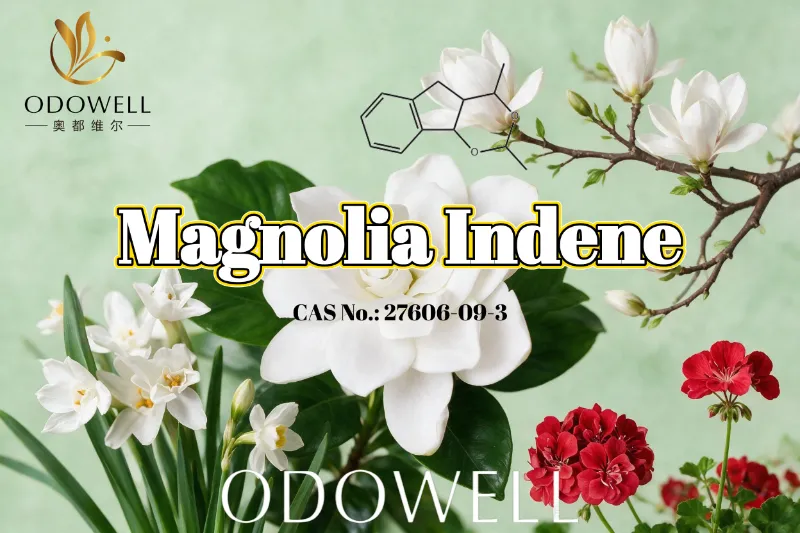 Az ODOWELL a Magnolia Indene-t ajánlja friss virágzöld és citrusos illatokhoz